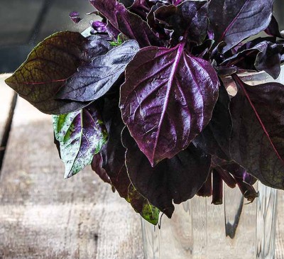 Purple Basil Opal